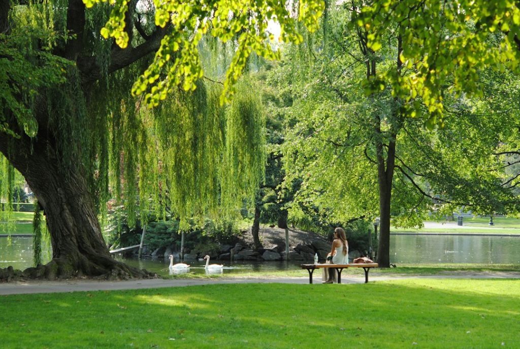 Photo Oasi Urbane: Idee Verdi per Piccoli Spazi Esterni