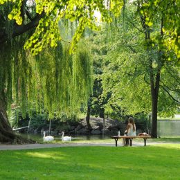 Photo Oasi Urbane: Idee Verdi per Piccoli Spazi Esterni